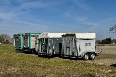 Flotte_Anhänger_Schlachtbetrieb Möllin